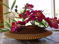 Carton Magique Corrugated Cardboard Bowl
